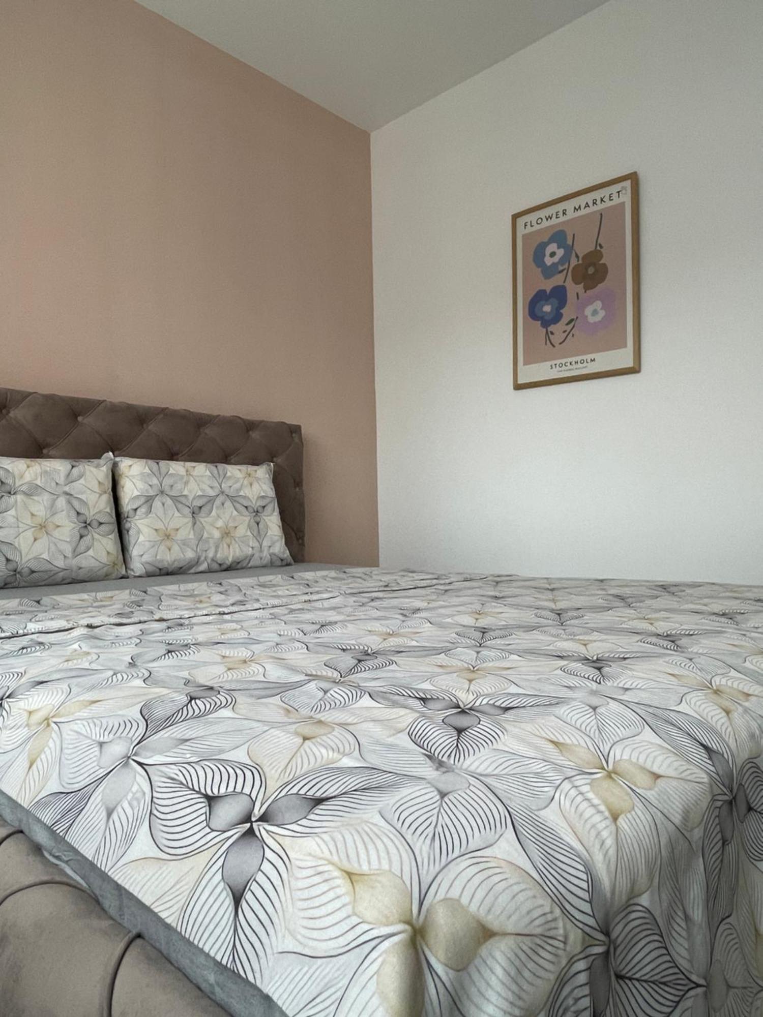 Entire Apartment - Near The Center Priştine Dış mekan fotoğraf